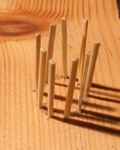 05 - Staves in the template